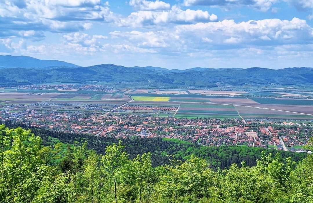 Neustadt Villa Cristian  Zewnętrze zdjęcie
